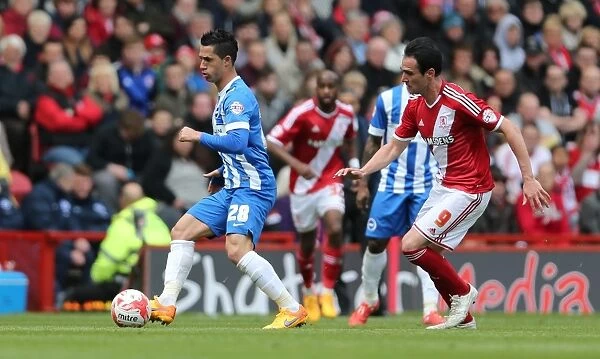Brighton's Kayal Shines: A Standout Performance in Middlesbrough Showdown, May 2015