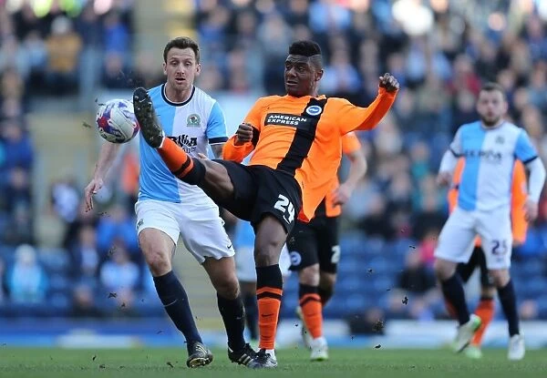 Brighton's Rohan Ince in Action against Blackburn Rovers, Sky Bet Championship 2015