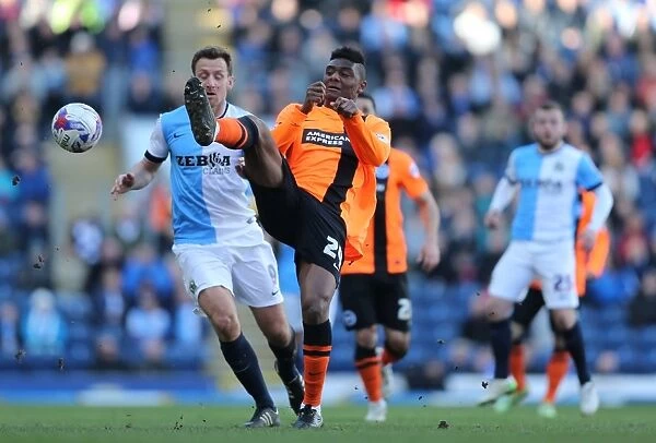 Brighton's Rohan Ince in Action Against Blackburn Rovers, Sky Bet Championship 2015: Midfielder Fights for Possession