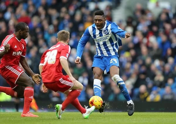 Brighton's Rohan Ince in Action against Nottingham Forest, Sky Bet Championship 2015