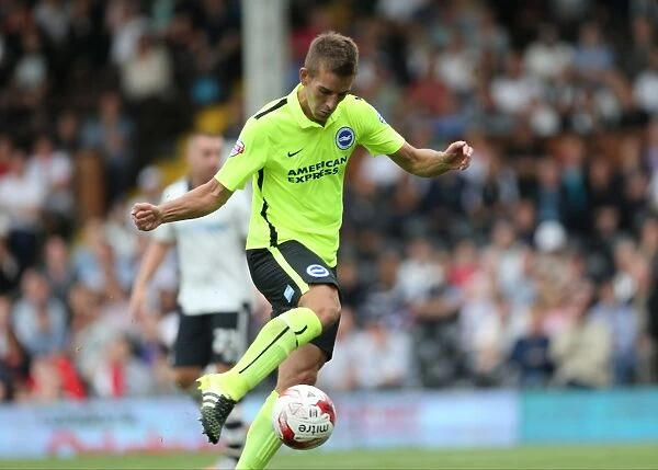 Brighton's Solomon March in Action: Sky Bet Championship Showdown against Fulham (August 15, 2015)
