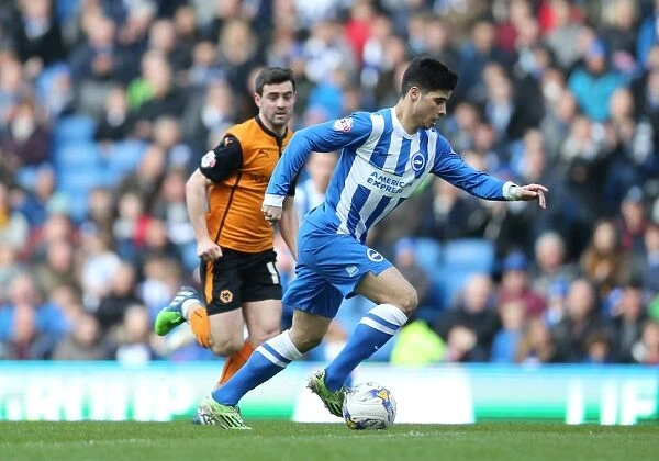 Brighton's Teixeira in Action against Wolverhampton Wanderers, Sky Bet Championship 2015