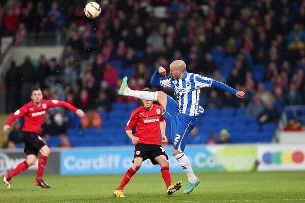 Bruno Clears Danger: Cardiff vs. Brighton & Hove Albion, Npower Championship, 19th February 2013