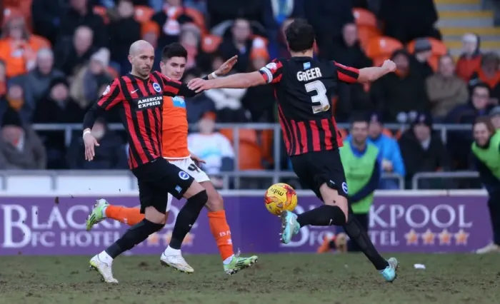 Framed Print : Bruno Saltor in Action: Brighton and Hove Albion vs. Blackpool (31Jan15) Framed Print : Bruno Saltor in Action: Brighton and Hove Albion vs. Blackpool (31Jan15)