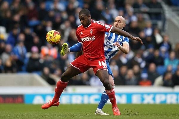 Bruno Saltor: In Action for Brighton and Hove Albion vs. Nottingham Forest, Sky Bet Championship, 7th February 2015