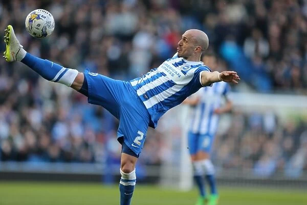 Bruno Saltor in Action: Brighton and Hove Albion vs. Wolverhampton Wanderers, Sky Bet Championship Clash (14March2015)