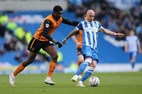 Bruno Saltor in Action: Brighton and Hove Albion vs. Wolverhampton Wanderers, Sky Bet Championship Clash (14March2015)
