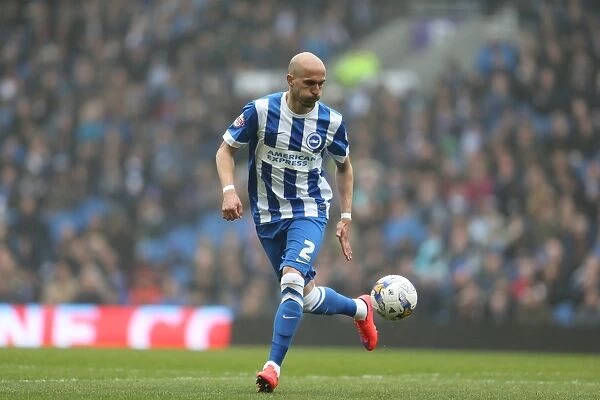 Bruno Saltor in Action: Brighton and Hove Albion vs. Norwich City, Sky Bet Championship, American Express Community Stadium, April 2015