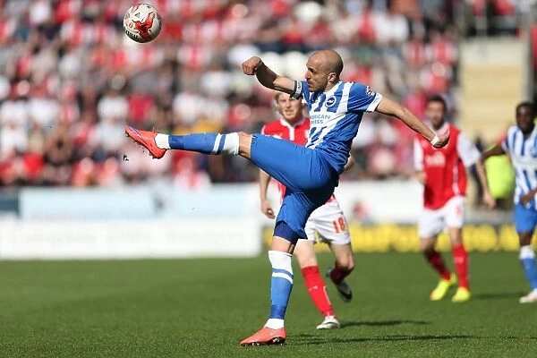Bruno Saltor in Action: Brighton and Hove Albion vs. Rotherham United, Sky Bet Championship 2015 (Rotherham United 06APR15)