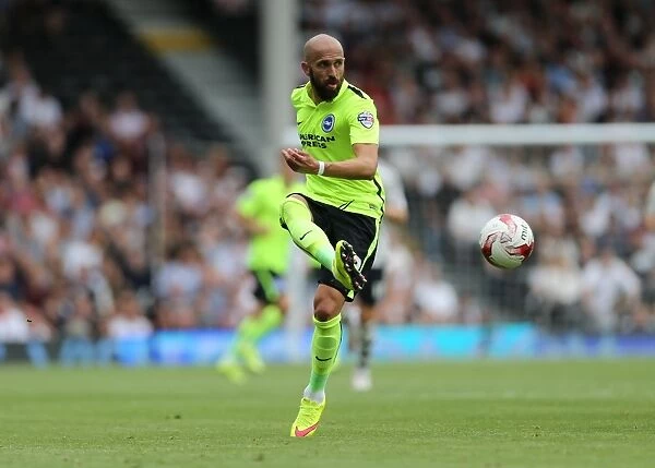 Bruno Saltor in Action: Brighton and Hove Albion vs. Fulham, Sky Bet Championship 2015