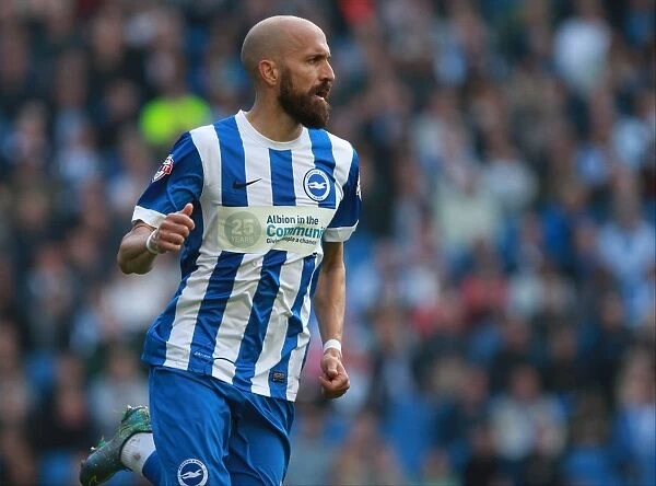 Bruno Saltor in Action: Brighton and Hove Albion vs. Cardiff City, Sky Bet Championship 2015