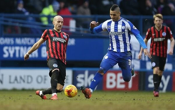 Bruno Saltor in Action: Sheffield Wednesday vs. Brighton and Hove Albion, Sky Bet Championship 2015