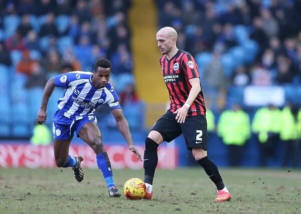 Bruno Saltor of Brighton and Hove Albion in Action Against Sheffield Wednesday, February 2015