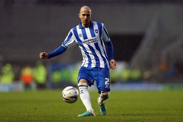 Bruno Saltor of Brighton & Hove Albion in Action against Bolton Wanderers, Npower Championship, Amex Stadium, November 24, 2012