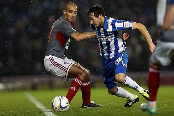 Will Buckley's Electric Performance: Brighton & Hove Albion vs Bolton Wanderers, Npower Championship, November 24, 2012