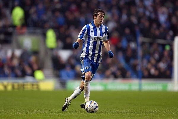 Will Buckley's Electric Performance: Brighton & Hove Albion vs Derby County, Npower Championship, Amex Stadium (January 12, 2013)