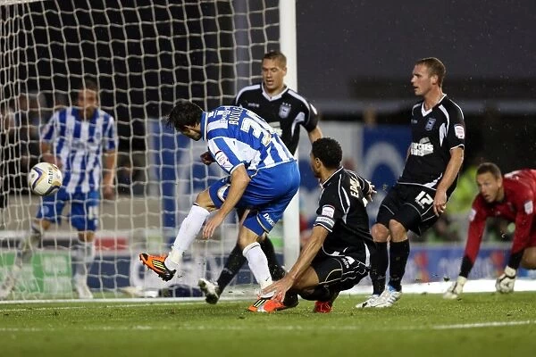Will Buckley's Equalizer: Brighton & Hove Albion vs Ipswich Town, Npower Championship, October 2, 2012