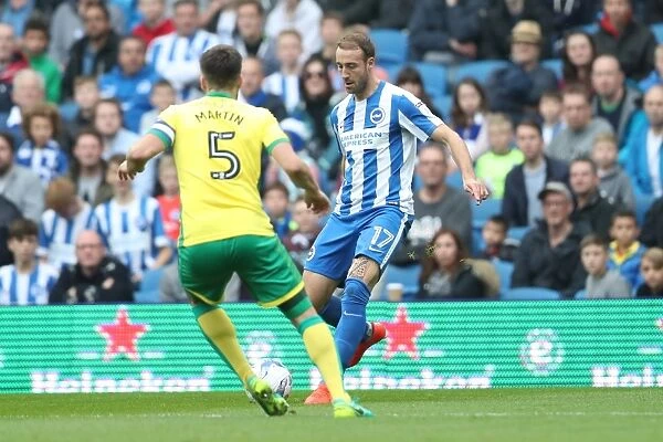 Championship Clash: Brighton and Hove Albion vs. Norwich City at the American Express Community Stadium (October 29, 2016)