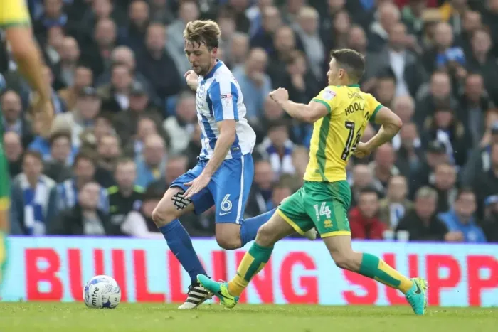 Framed Print : Championship Clash: Brighton & Hove Albion vs. Norwich City (29Oct16) - American Express Community Stadium