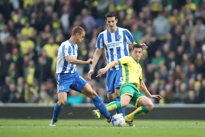 Framed Print : Championship Clash: Brighton & Hove Albion vs. Norwich City (29Oct16) - American Express Community Stadium Framed Print : Championship Clash: Brighton & Hove Albion vs. Norwich City (29Oct16) - American Express Community Stadium