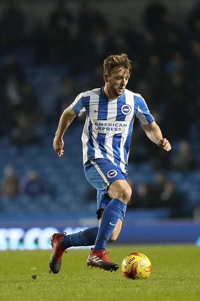 Championship Clash: Brighton and Hove Albion vs. Cardiff City at the American Express Community Stadium (24th January 2017)