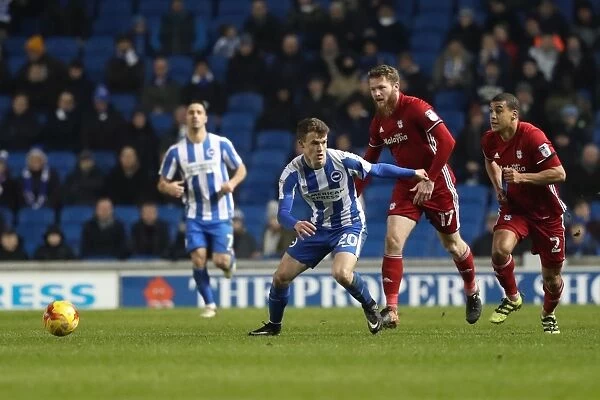 Championship Clash: Brighton and Hove Albion vs. Cardiff City at the American Express Community Stadium (24th January 2017)