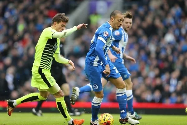 Championship Showdown: Brighton and Hove Albion vs. Huddersfield Town at American Express Community Stadium (23rd January 2016)