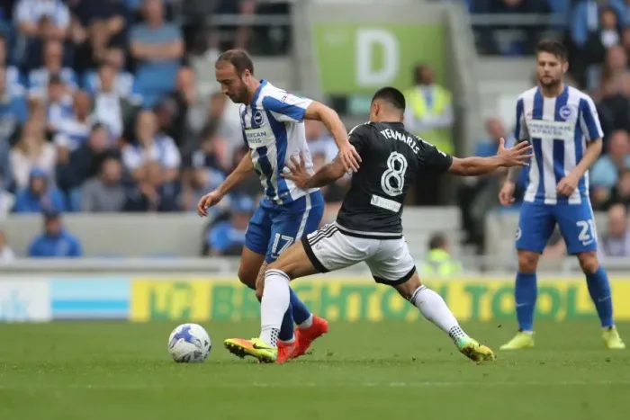 Framed Print : Championship Showdown: Brighton and Hove Albion vs. Brentford at American Express Community Stadium (10SEP16)
