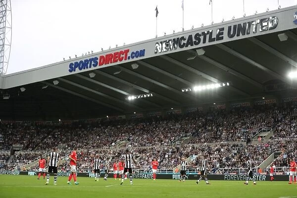 Championship Showdown: Newcastle United vs. Brighton and Hove Albion at St. James Park (27-08-2016)