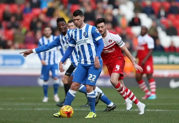 Charlton Athletic vs Brighton & Hove Albion: Danny Holla's Intense Action at The Valley (10 January 2015)
