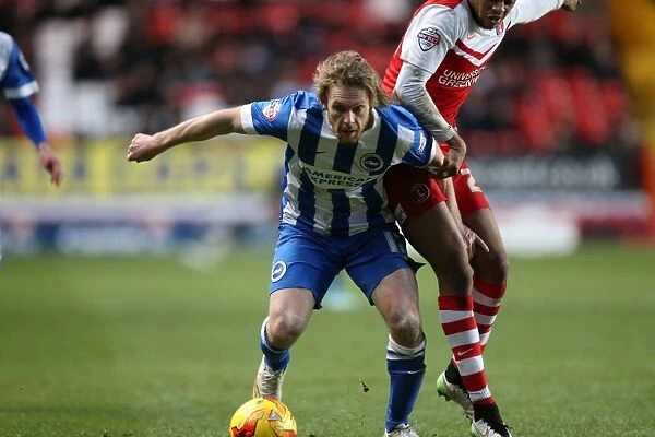 Charlton Athletic vs Brighton & Hove Albion: Mackail-Smith's Action-Packed Performance (10Jan15)