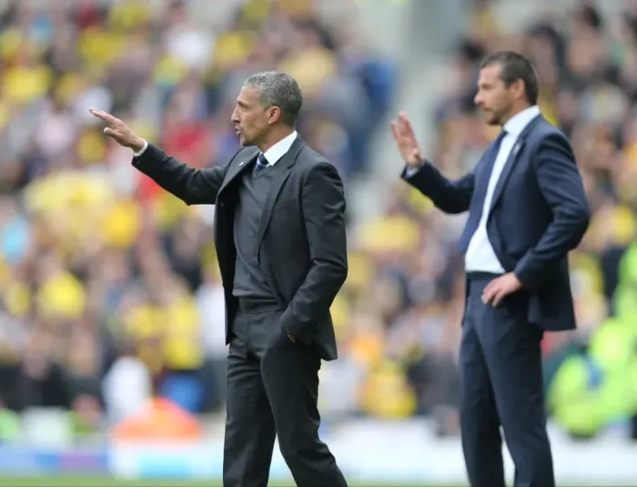 Framed Print : Chris Hughton: Focused Leadership at Brighton and Hove Albion vs. Watford (25APR15) Framed Print : Chris Hughton: Focused Leadership at Brighton and Hove Albion vs. Watford (25APR15)