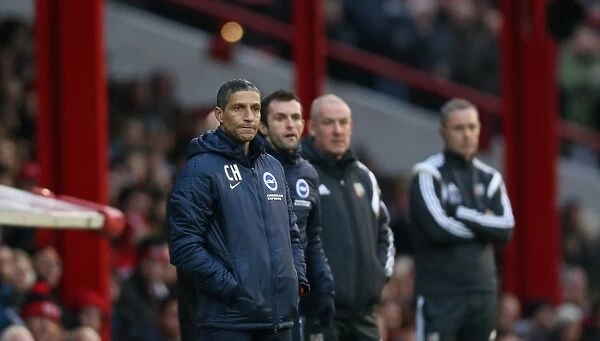 Chris Hughton Guides Brighton and Hove Albion in FA Cup Battle at Brentford (03.01.15)