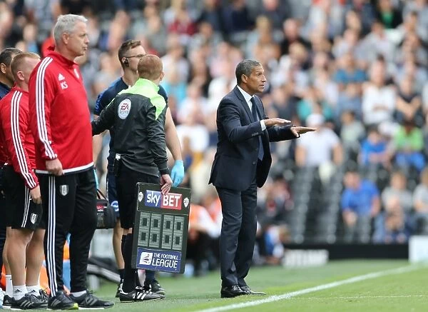 Chris Hughton Guides Brighton and Hove Albion in Fulham Showdown, Sky Bet Championship 2015