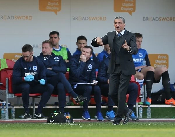 Chris Hughton Guides Brighton and Hove Albion in Sky Bet Championship Battle against Rotherham United (06APR15)