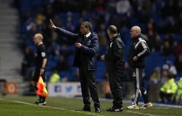 Chris Hughton Leads Brighton and Hove Albion Against Brentford, January 2015
