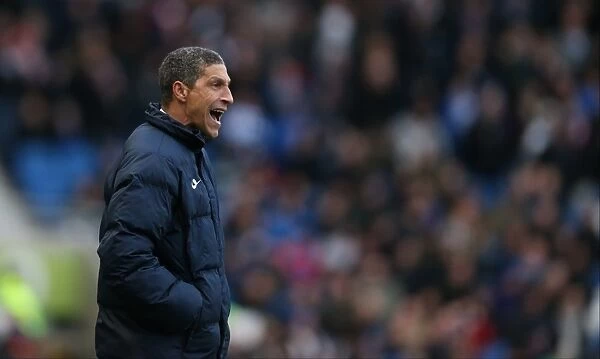 Chris Hughton Leads Brighton and Hove Albion Against Nottingham Forest, February 2015