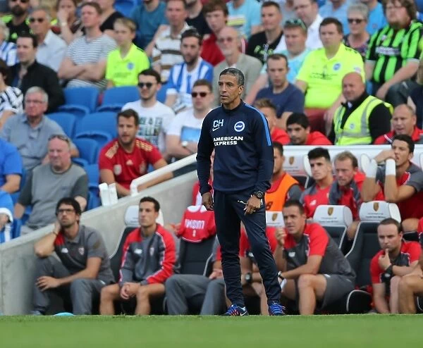 Chris Hughton Leads Brighton & Hove Albion Against Sevilla FC in Pre-Season Friendly (02.08.2015)