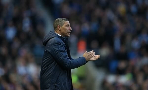 Chris Hughton Leads Brighton and Hove Albion Against Arsenal in FA Cup Clash, 25 January 2015
