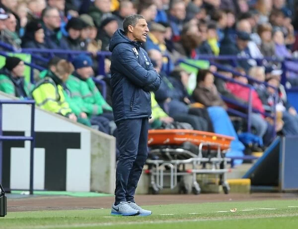Chris Hughton Leads Brighton and Hove Albion Against Bolton Wanderers, 28FEB15