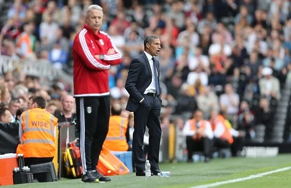 Chris Hughton Leads Brighton and Hove Albion at Craven Cottage during Sky Bet Championship 2015