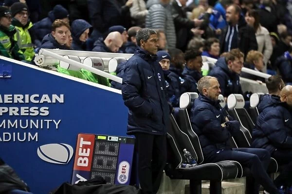 Chris Hughton Leads Brighton and Hove Albion in EFL Sky Bet Championship Clash against Ipswich Town, February 2017