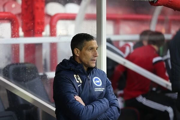 Chris Hughton Leads Brighton and Hove Albion in FA Cup Clash against Brentford (03JAN15)