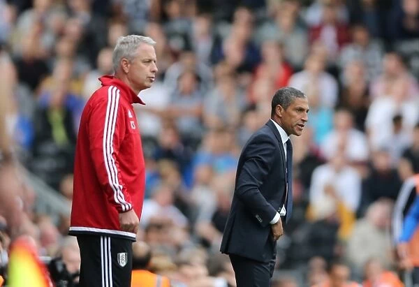 Chris Hughton Leads Brighton and Hove Albion in Fulham Championship Clash, August 2015