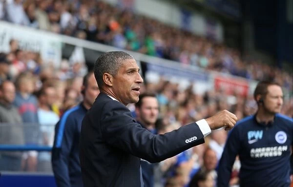 Chris Hughton Leads Brighton and Hove Albion in Ipswich Town Clash, Sky Bet Championship 2015