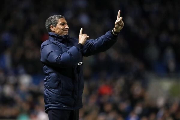 Chris Hughton Leads Brighton and Hove Albion Against Ipswich Town in EFL Sky Bet Championship 2017