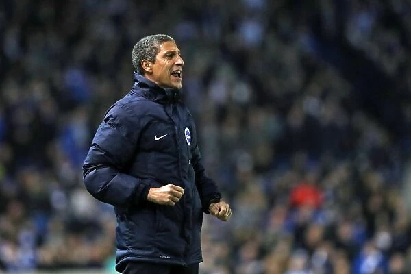 Chris Hughton Leads Brighton and Hove Albion Against Ipswich Town, February 2017