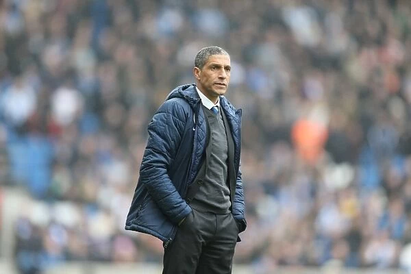 Chris Hughton Leads Brighton and Hove Albion Against Norwich City, April 2015
