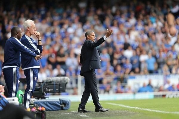 Chris Hughton Leads Brighton and Hove Albion in Sky Bet Championship Clash Against Ipswich Town (28 / 08 / 2015)
