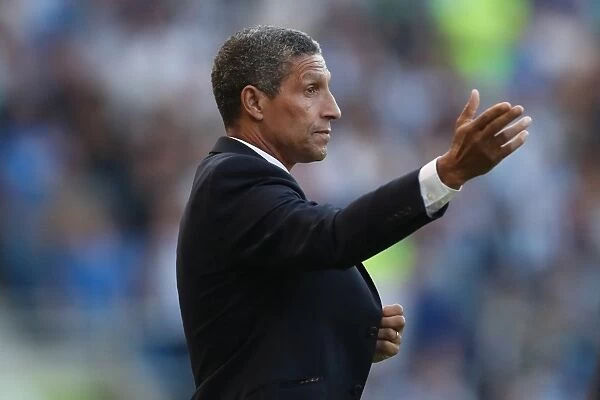 Chris Hughton Signals During Brighton and Hove Albion vs. Nottingham Forest EFL Championship Match, August 12, 2016